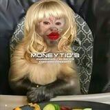 MONEYTID'S :: ОТЗЫВЫ