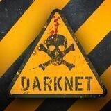 Darknet - All SECRET REVEALED