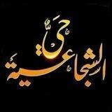 حي الشجاعيه بوابة غزة الشرقيه 2