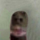 ache vids 18+