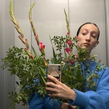 полинины татули