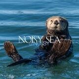 ( 🌊 ) ) noisy sea.