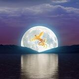 月神（Moon God） （唯一电报群）