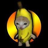 BananaCat - Portal