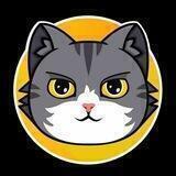 CATCOIN