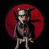 Uchiha Doge - Entry Portal