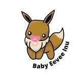 Baby Eevee Inu