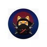 Ninja Floki Token