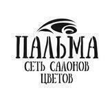 PALMASHOP