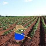 PepeGrow
