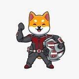 SHIBMANIA - PORTAL