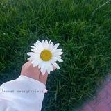 Jannat oshiqlarimiz🌸