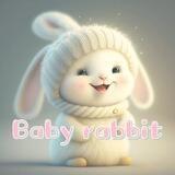BABY Rabbit中文群🇨🇳