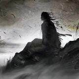 绵羊ql 长期收质量拉手