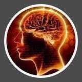 🧠 ꦿꦶPѕιcoloɢια Reverѕα🧠 ꦿꦶ