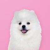 Касси 🎀