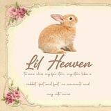 ㅤྏ✳ ๋۪۪ ℒil’ ℋeaven
