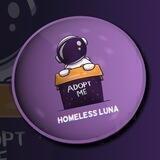 HomelessLunaPortal