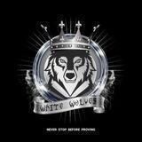 ARCHIVE WLS