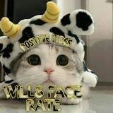ᴡɪʟʟꜱ ꜰᴀᴄᴇ