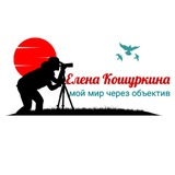 Елена Кошуркина. Мой мир через объектив