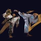 Karatekids_okc