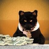 BILLIONAIRECATPORTAL