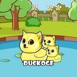 Duckoge