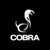 Cobra_shop72/ Мужская Брендовая одежда