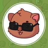 QuokkaSwap.com - (Official Telegram)