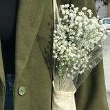 گوجه سبز🌱
