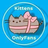 Kittens 🐱