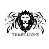 3 Lions Capital Public