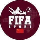 FiFaSport China group