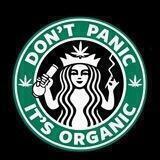 Stonebucks