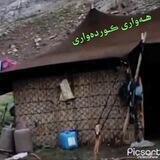 هەواری کوردەواری