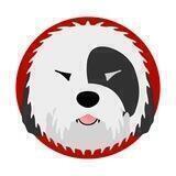 Shaggy Inu - Official