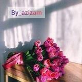 Aziza biznes women