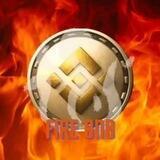 FIRE BNB