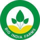 Дженерики для потенции (Виагра, Сиалис, Левитра) RC-India farms