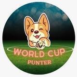 WorldCupPunter