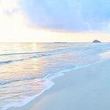 paradise