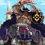 Kaido CEO |Lowtax 2/2% Renounced