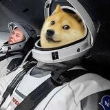 space kabosu.太空卡波苏