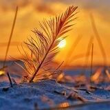 حَٰـۦـرۅفَـ𖤝ـۧ راَقيَٰـۦـهه²²°²