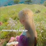·—лавандовый дождь