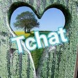 Le chemin de vie tchat
