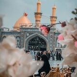 عٌشُآقُ آلَحًسِيَنِ «عٌ» 🥺♥🍃