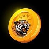 Tiger Meme Token