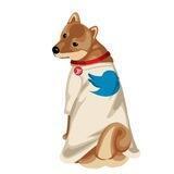 Twitter Doge | 4% tax | LP Burn